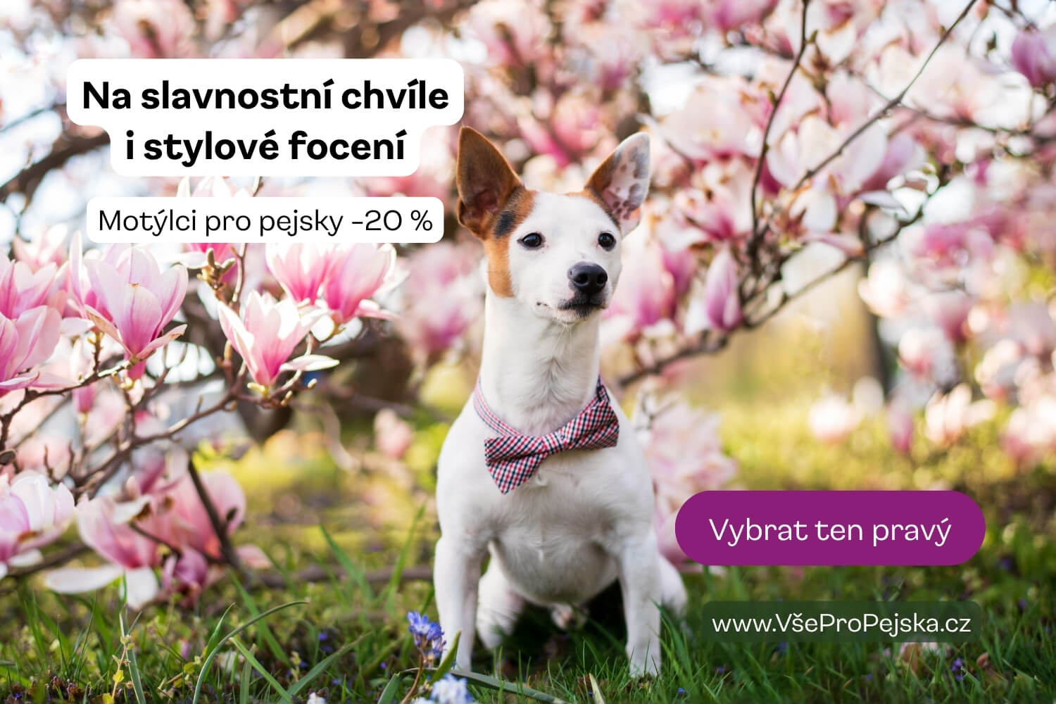 Motýlek pro psy - vsepropejska.cz