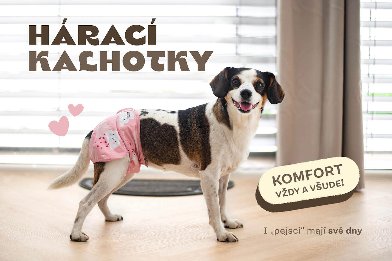 Kalhotky pro psy - vsepropejska.cz