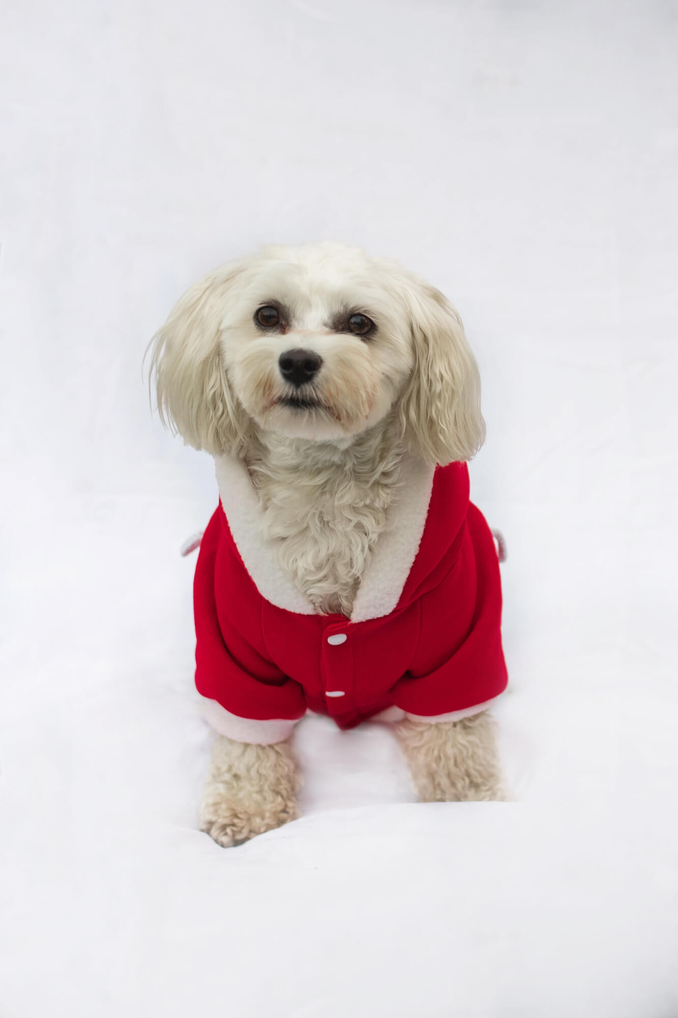 Zaly vánoční mikina pro psa - vánoční mikina pro psa - vsepropejska.cz