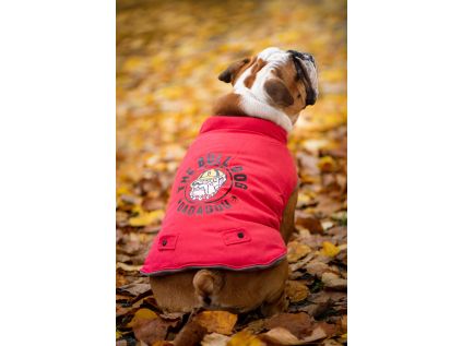 Bulldog zimní bunda pro psa - bundy pro psy - vsepropejska.cz