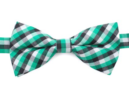 Britain zelený károvaný motýlek pro psa - vsepropejska.cz