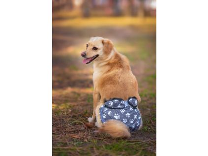 Gapa hárací kalhotky pro psa - hárací kalhotky pro psy - vsepropejska.cz