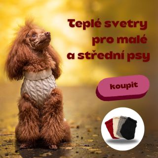 Naše teplé svetry pro psy jsou nejen krásné, ale i pohodlné – ideální na listopadové dny, kdy je venku sychravo a doma...