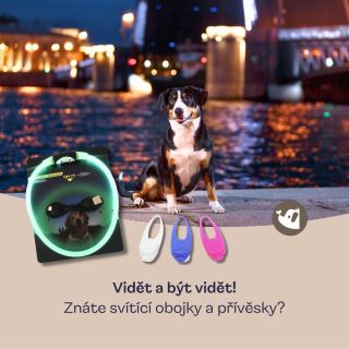 💡 Vidět a být vidět! Naše svítící obojky a přívěsky zajistí, že budete mít pejska pod dohledem i ve tmě – a zároveň mu to...