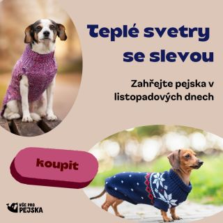 🧶 Listopad volá po teple! Zahřejte svého pejska stylovým svetrem, který nejen hřeje, ale i sluší. 🎁 Nyní sleva 20 % na...