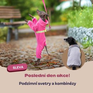 ⚠️ Poslední den akce! Slevy -20 % na všechny svetry a kombinézy končí už dnes 🕐 Nečekejte na zimu, dopřejte pejskovi...