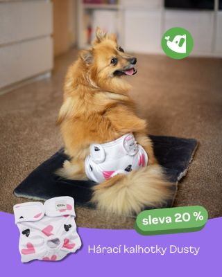 Klid, pohodlí a styl i v těch nejnáročnějších dnech. 💕 Hárací kalhotky Dusty pomáhají udržet čistotu i pohodu a teď je...