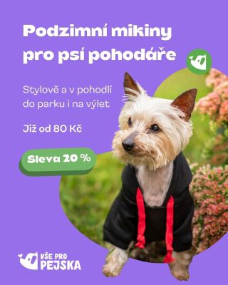 Když se venku ochladí, nastává čas mikin! ❄️ Ty naše jsou měkké, hřejivé a šité tak, aby pejsek mohl běhat i lenošit bez...