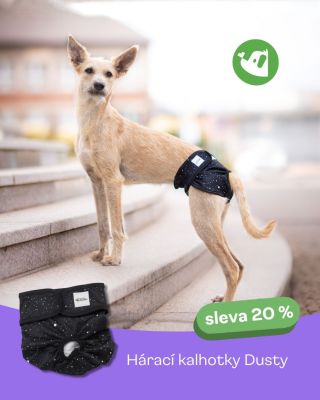 Elegantní a praktické zároveň 🖤 Hárací kalhotky Dusty jsou ideální volbou pro každou fenku – pohodlné, prodyšné a...