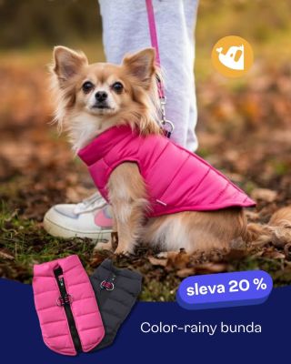 Déšť? Vítr? Kaluže? Žádný problém. 🌧️🐾 Naše Color Rainy bunda patří mezi nejoblíbenější kousky pro podzim i zimu. Je...