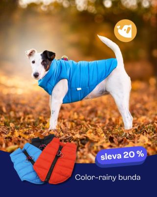 Připomínáme – oblíbená Color Rainy bunda je tento týden –20 %! 🌧️🐶 Lehká, nepromokavá, perfektní na sychravé počasí....