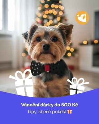 Hledáte malý dárek, který udělá velkou radost? 🎁🐾 Mrkněte na naše vánoční tipy do 500 Kč — potěší každého mazlíčka ✨...