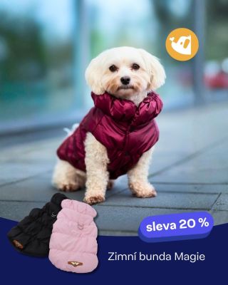 Představujeme zimní bundu Magie ❄️🐾 Obleček, který spojuje praktické zapínání a pořádnou dávku tepla. ✨ Zapínání na...