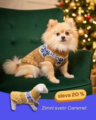 Pohodlí a styl pod stromeček? Svetr Caramel je jasná volba! 🎅🧶 Teď se slevou 20 % ✨ Více na...