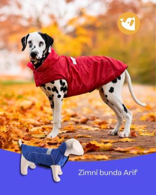 Zima už si na vašeho psího parťáka nepřijde! ❄️🐶 Bunda Arif zahřeje i v tom nejtřeskutějším počasí ❤️🎄 Více zde:...