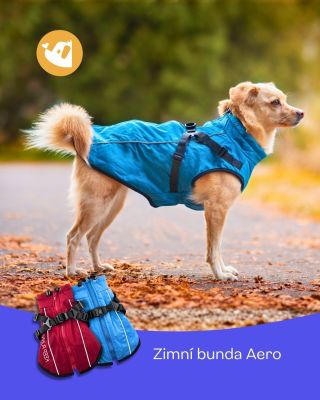 Spolehlivá ochrana proti zimě i větru! ❄️💙 Bunda Aero drží teplo a je jako stvořená pro zimní dobrodružství ✨🐾 Více na...