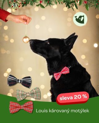 ✨ Novinka ✨ Semišový motýlek Louis s univerzálním uchycením na obojek 🎄 Díky pružným gumičkám vzadu pevně drží, je...