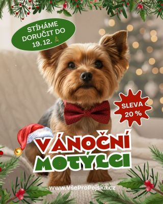 📸 Chcete tu nejroztomilejší vánoční fotku? Vánoční motýlci pro pejsky teď se slevou –20 % 🎀🐕👇...