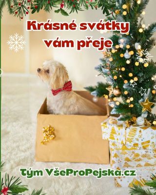 🎄 Přejeme vám klidné svátky plné pohody, tepla a chlupatých objetí 🐶✨ Váš tým VšeProPejska.cz #vsepropejska #pejskari...