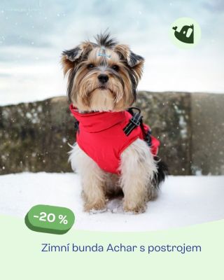 Zima venku? Nevadí 🧥🐶 Zimní bunda Achar s postrojem ochrání pejska před chladem i větrem a ušetří vám starosti při...