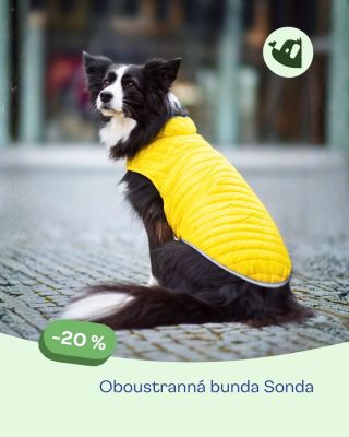 Jedna bunda, dvě možnosti 🧥🐾 Oboustranná zimní bunda je praktická, hřejivá a ideální pro každodenní venčení. 👉 Teď se...